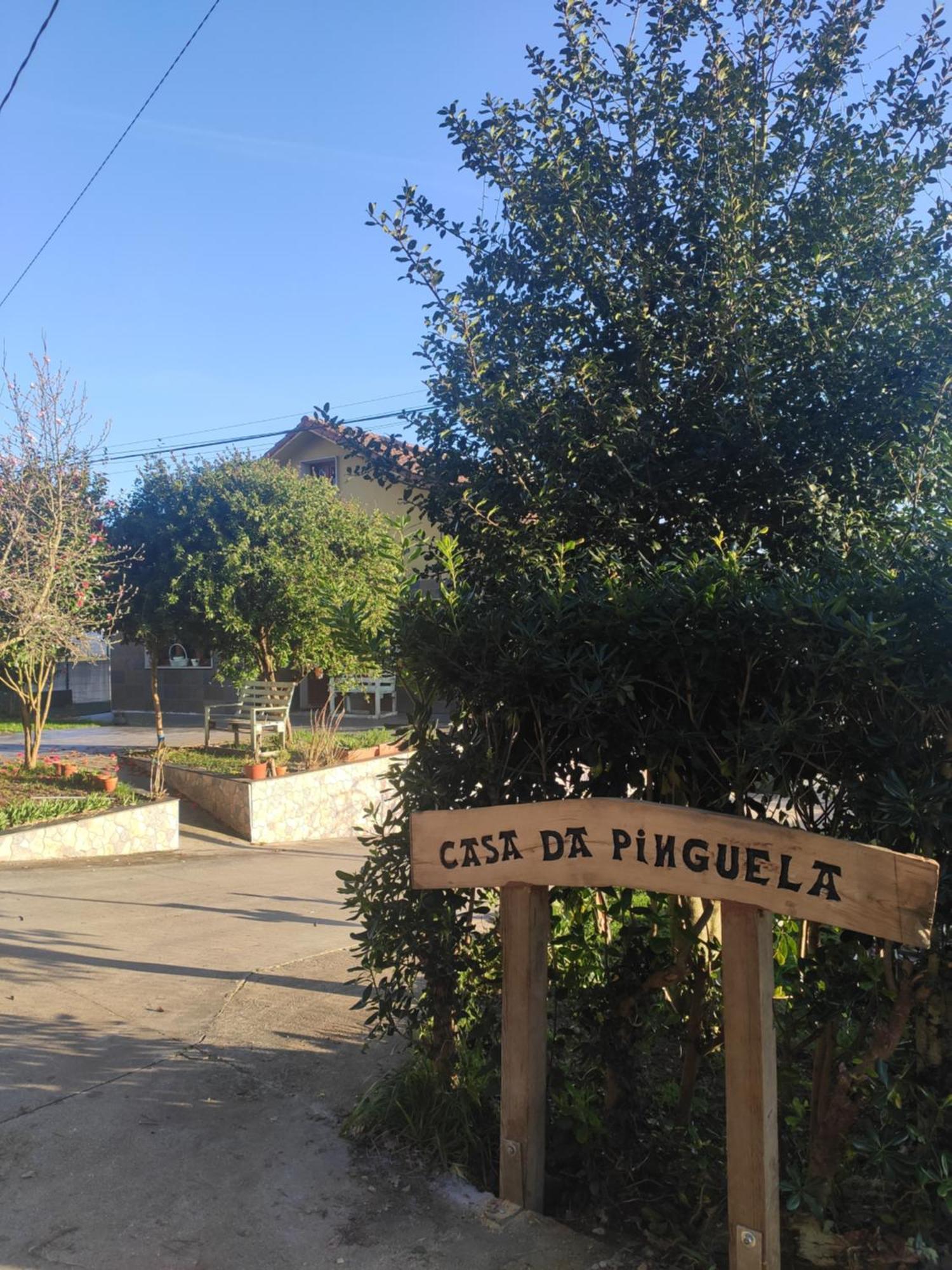 Вилла Casa Da Pinguela Camino Ingles Ордес Экстерьер фото